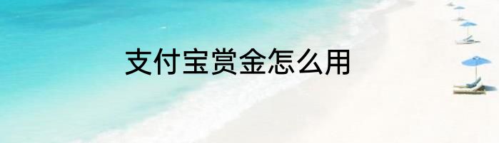 支付宝赏金怎么用