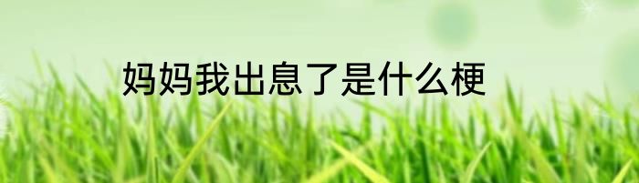 妈妈我出息了是什么梗