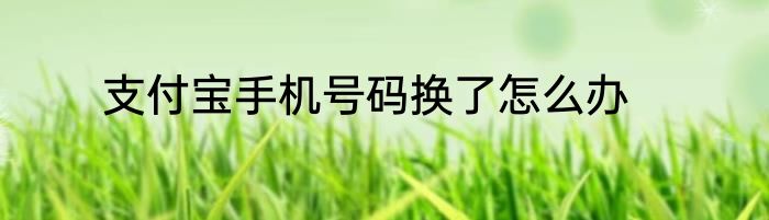 支付宝手机号码换了怎么办