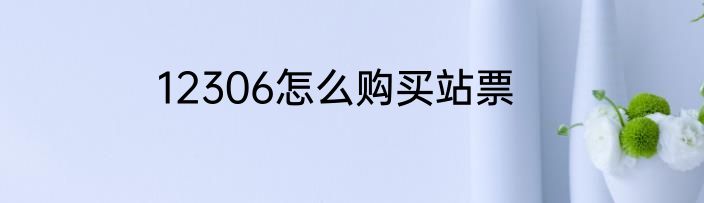 12306怎么购买站票