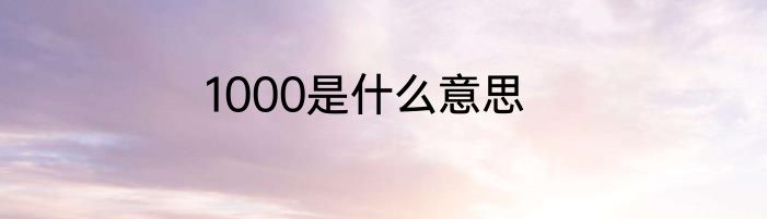 1000是什么意思