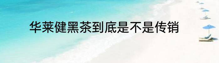 华莱健黑茶到底是不是传销