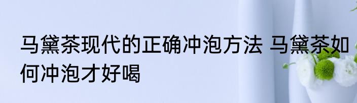 马黛茶现代的正确冲泡方法 马黛茶如何冲泡才好喝