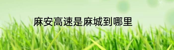 麻安高速是麻城到哪里