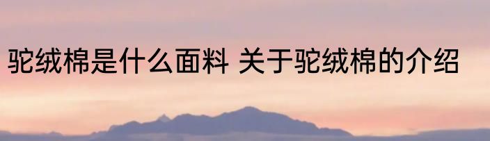 驼绒棉是什么面料 关于驼绒棉的介绍