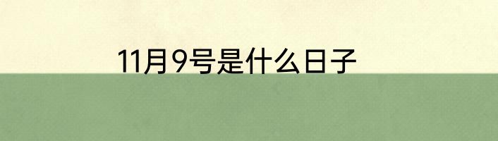 11月9号是什么日子