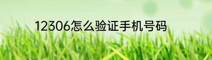 12306怎么验证手机号码