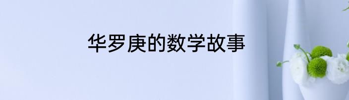 华罗庚的数学故事