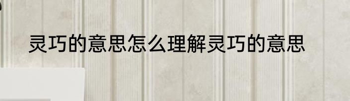 灵巧的意思怎么理解灵巧的意思