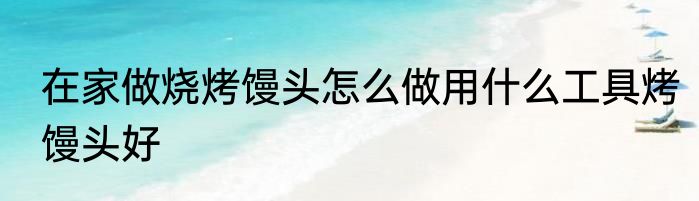 在家做烧烤馒头怎么做用什么工具烤馒头好