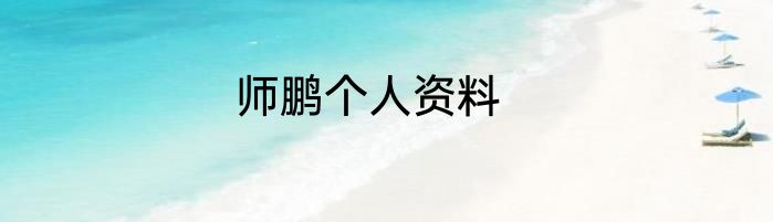 师鹏个人资料