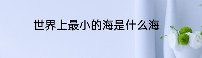 世界上最小的海是什么海