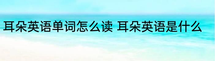 耳朵英语单词怎么读 耳朵英语是什么