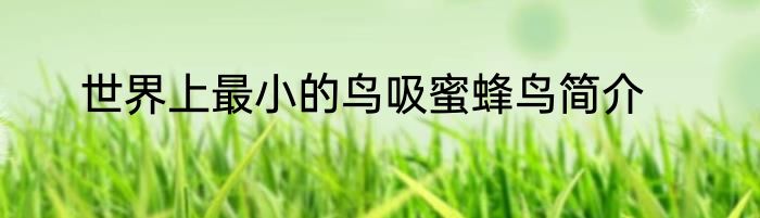 世界上最小的鸟吸蜜蜂鸟简介