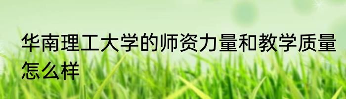 华南理工大学的师资力量和教学质量怎么样