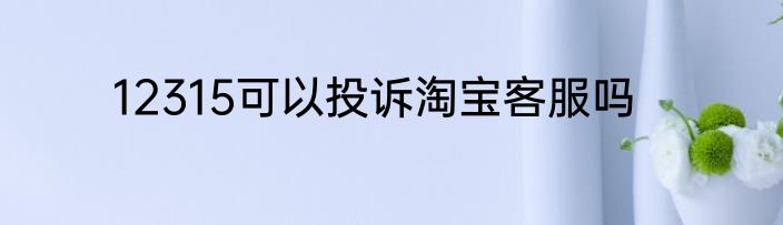 12315可以投诉淘宝客服吗