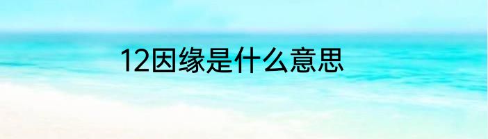12因缘是什么意思