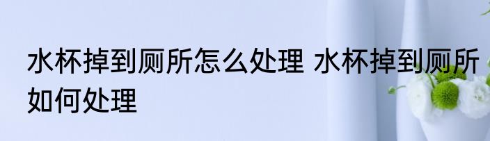 水杯掉到厕所怎么处理 水杯掉到厕所如何处理