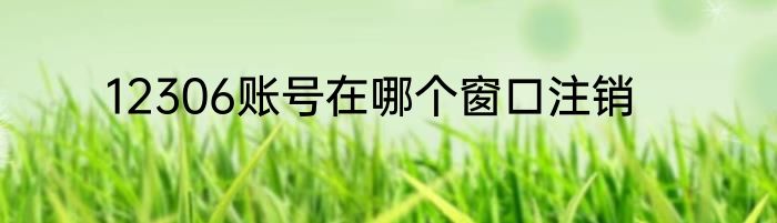 12306账号在哪个窗口注销