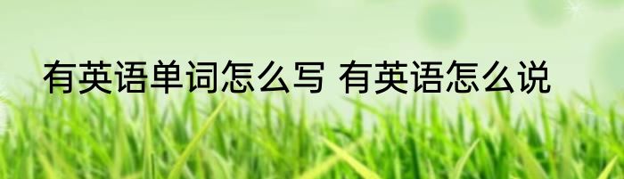有英语单词怎么写 有英语怎么说
