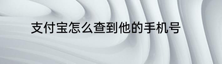 支付宝怎么查到他的手机号