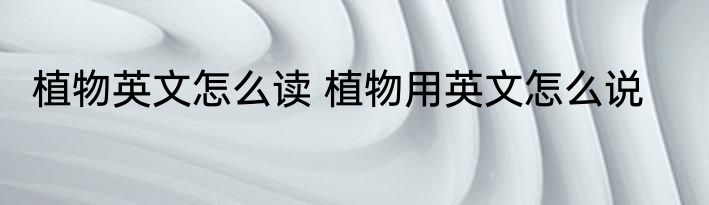 植物英文怎么读 植物用英文怎么说