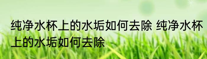纯净水杯上的水垢如何去除 纯净水杯上的水垢如何去除