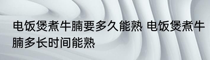 电饭煲煮牛腩要多久能熟 电饭煲煮牛腩多长时间能熟