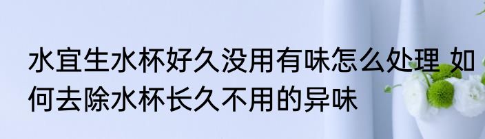 水宜生水杯好久没用有味怎么处理 如何去除水杯长久不用的异味