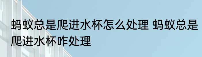 蚂蚁总是爬进水杯怎么处理 蚂蚁总是爬进水杯咋处理