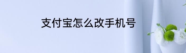 支付宝怎么改手机号