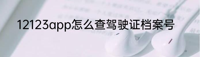 12123app怎么查驾驶证档案号