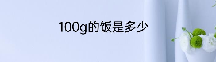 100g的饭是多少