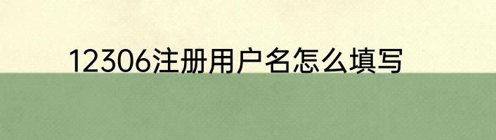 12306注册用户名怎么填写