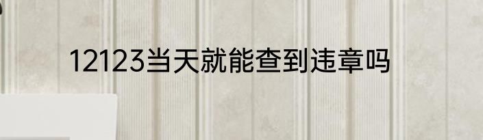 12123当天就能查到违章吗