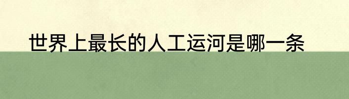 世界上最长的人工运河是哪一条