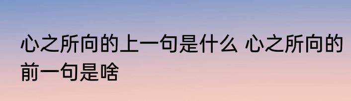 心之所向的上一句是什么 心之所向的前一句是啥