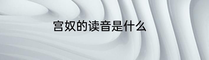 宫奴的读音是什么