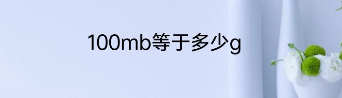 100mb等于多少g