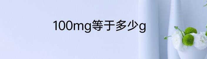 100mg等于多少g