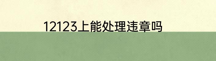 12123上能处理违章吗
