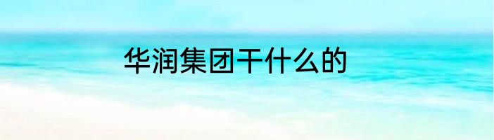 华润集团干什么的