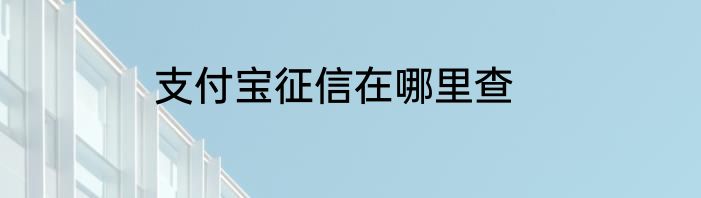 支付宝征信在哪里查