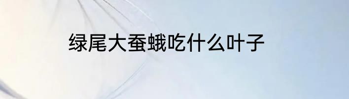 绿尾大蚕蛾吃什么叶子