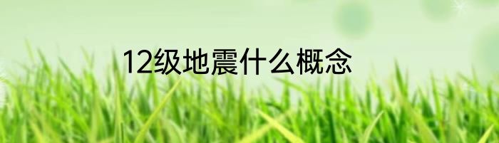 12级地震什么概念
