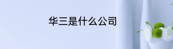 华三是什么公司