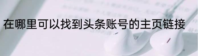 在哪里可以找到头条账号的主页链接