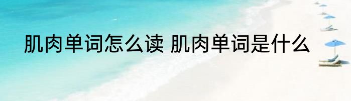 肌肉单词怎么读 肌肉单词是什么