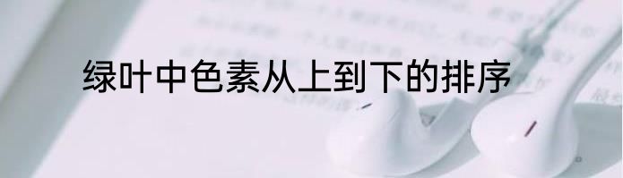 绿叶中色素从上到下的排序