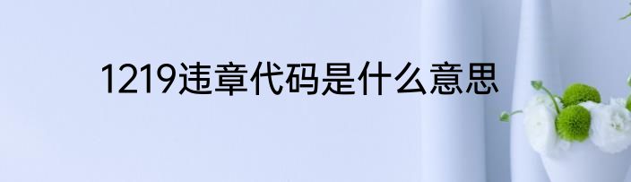 1219违章代码是什么意思